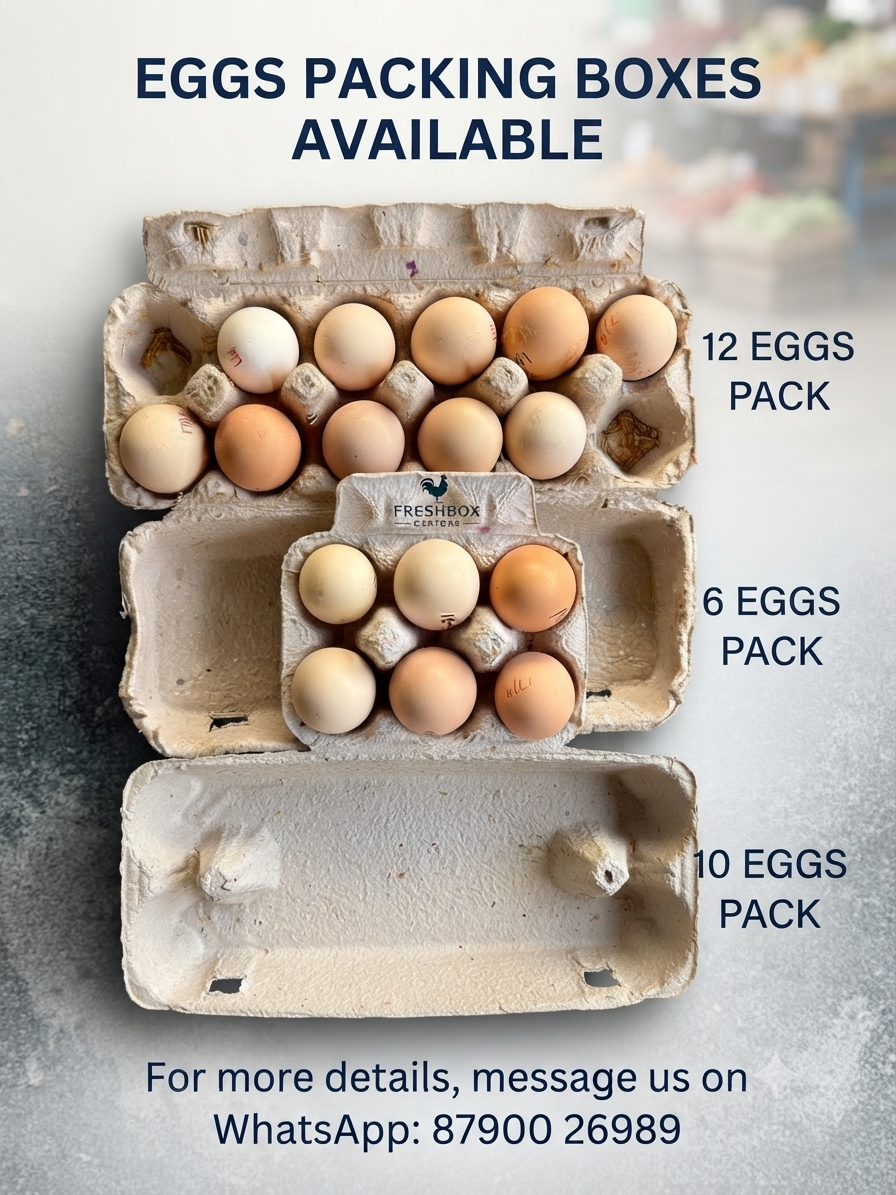 12 pack eggs pulpy tray