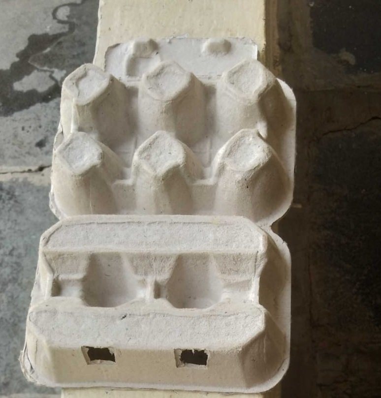 6 eggs puply pack with lock