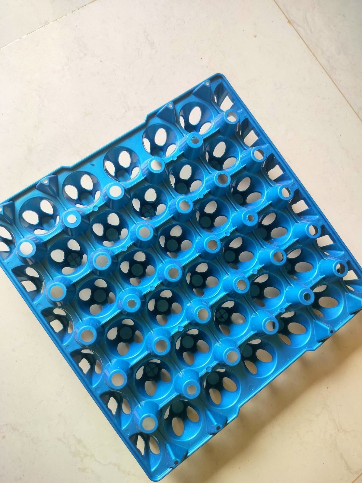 Plastic egg tray